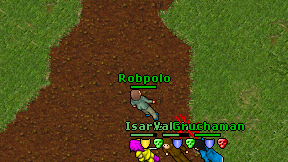 Robpolo on screen