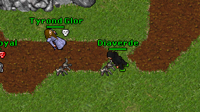 Diaverde on screen