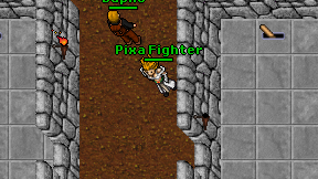 Pixa Fighter on screen