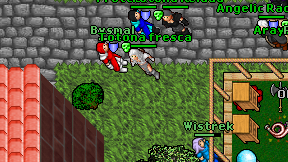 Totona fresca on screen