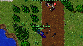 Galletica on screen