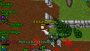 Ell Grubello on screen