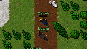 Xarve on screen