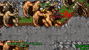 Yucek on screen