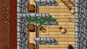 Country Hunter on screen