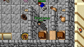 Viecama on screen