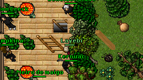 Layebi on screen