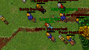 Lady trips on screen