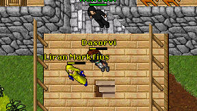 Dasorvi on screen