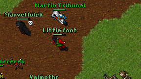 Little foot on screen