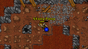 Stony Pony on screen