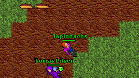 Japinhachs on screen