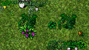 Leferve Sorcerer on screen