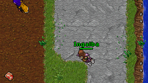 Ingalba on screen