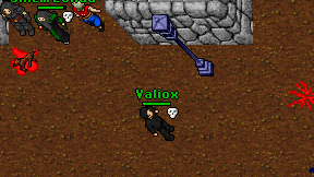 Valiox on screen