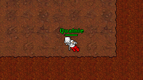 Qualnie on screen