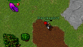 Darckspirit on screen