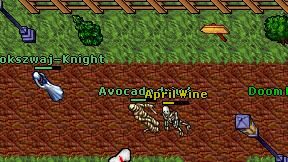Avocado driud on screen