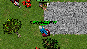 Elite Sampror on screen