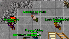 Leader of Falls on screen