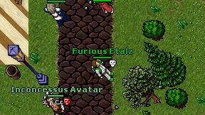 Furious Etalz on screen