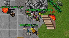 Natysynha on screen