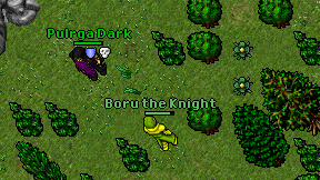 Boru the Knight on screen