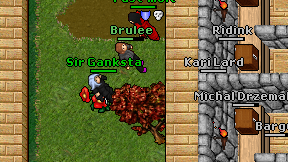 Sir Ganksta on screen