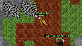 Lady Jol on screen