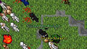 Niclas The Knight on screen