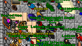 Magic Frogy on screen