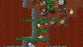 Rugnin on screen