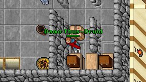 Damo Thus-Druid on screen