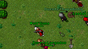 Wolf'Guns on screen