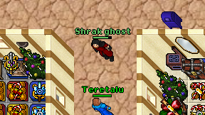 Shrak ghost on screen