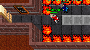 Wakasix on screen
