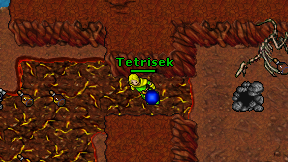 Tetrisek on screen