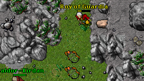 Roy of Guardia on screen