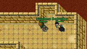 Nuubex on screen