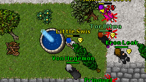 Little Swis on screen