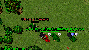 Bloody missile on screen