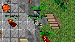 Spider Iron on screen