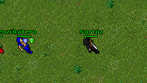 Nortiiz on screen