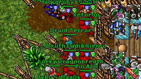 Druid Terror on screen