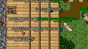 Party Palla on screen