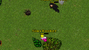 Nims Rooker on screen