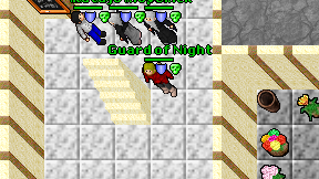 Guard of Night on screen