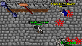 Cashnircar on screen