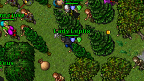 Lady Leplix on screen