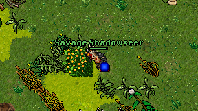 Savage Shadowseer on screen